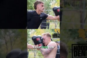 This is Why They Fear HFDB 🔥 #hoodfights #respect #MMA