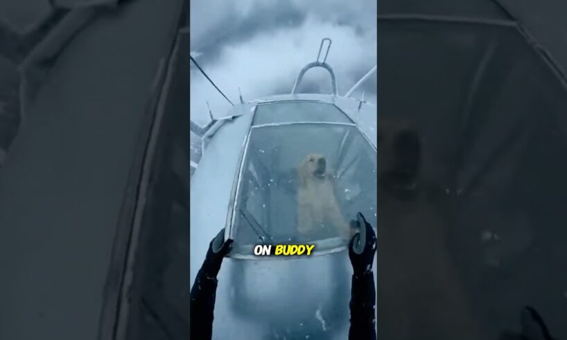 This puppy was TRAPPED during a storm😱... #animalrescue