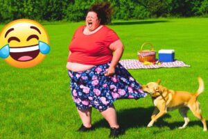 Try Not To Laugh 😆 Best Fails of The Week | Epic Funny Fails Videos Caught on Camera