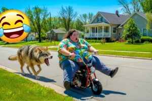 Try Not To Laugh 🤣 Ultimate Fails of The Week | Funniest People Failing Hilariously 😂