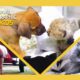 Unlikely Animal Friends Full Episode Compilation 🐶💗🐱 | @natgeokids