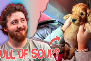 We Found The Cutest Puppies!