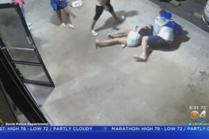 Woman Slammed To The Ground During Fight In Davie