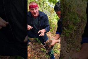 World’s Biggest Rat!!