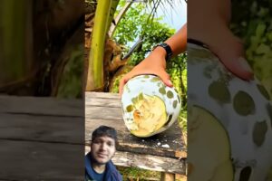 Ye kesa Fal hai 😯| Ye kya cheez hai 😯|#youtubeshorts