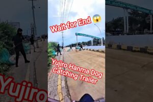 Yujiro Hanma Dog Catching Trailer #yujiro #dog #dogwithpublicsafety #ytviral #pet #dogshorts #shorts