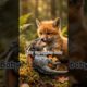 baby fox playing baby dragon #shortvideo #animals #facts #reels #livingthingsfacts #livingthings