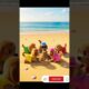 cute puppies enjoy in beach#shorts #ytshorts #youtubeshorts