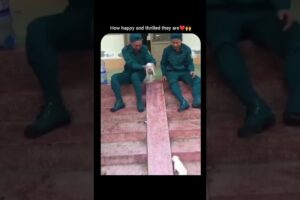 cute puppies enjoy kr rhe h 🤗🤗||cutest video 📸||#shorts #petshub #dog #dogshorts #petlover #pets