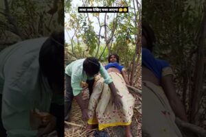 ducking save seriously injured cat #duckrescue #cuteanimal #animalrescue