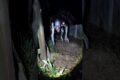 scary videos #scary #horror #movie #scaryvideos #ghost #monster #animals #nightmare #terrifying