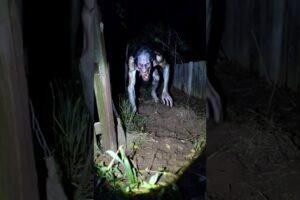 scary videos #scary #horror #movie #scaryvideos #ghost #monster #animals #nightmare #terrifying