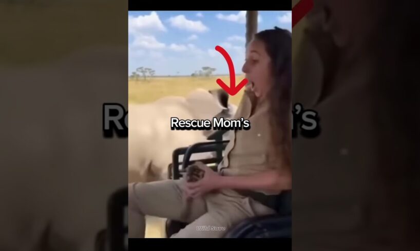 subscribe for more animal rescues 🐾 #wildliferescue #animals #hearttouching #lion #wildanimals