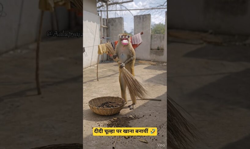 दीदी चूल्हा पर खाना बनायीं |🤣😂 Thethar puns comedy | #aalupyaj #comedy #ytfeeds #funny #thetharpuns