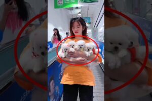 😍 देखो दोस्तों मेरी पिंकी दीदी ढेर सारी और क्यूट पप्पी को मोल में लेकर जा रही है