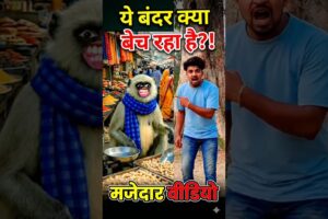 ये बंदर क्या बेच रहा है?! (VS 😛🐒) आखिर मिल ही #dalimsharma #comedy #funny