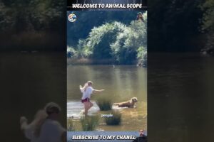 15 Kind-hearted People Who Resued Animals | Part 14❤️