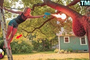 TOTAL IDIOTS AT WORK / Instant Regret Fails Compilation 2026 /Best Fails of the Week #323