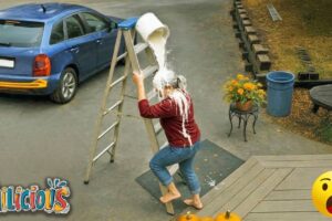 TOTAL IDIOTS AT WORK | Instant Regret Fails Compilation 2026 / Best fail of the week😂 #147