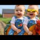 Cute babies playing with animals 😂 | Adorable funny baby shorts