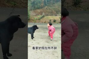 The love for these cute puppies grows day by day #dog #pet #cutedog #puppy #puppylove #cuteanimal