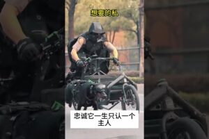 The love for these cute puppies grows day by day #dog #pet #cutedog #puppy #puppylove #cuteanimal