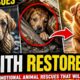 5 Emotional Animal Rescues That Will Restore Your Faith in Humanity 🐾❤️