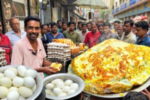 50 Years Old Street Food Stall in Chandni Chowk Kolkata | Duck Egg to Omelette Varieties