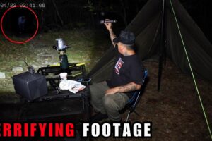 7 INTENSE Forest Encounters Caught on Camera