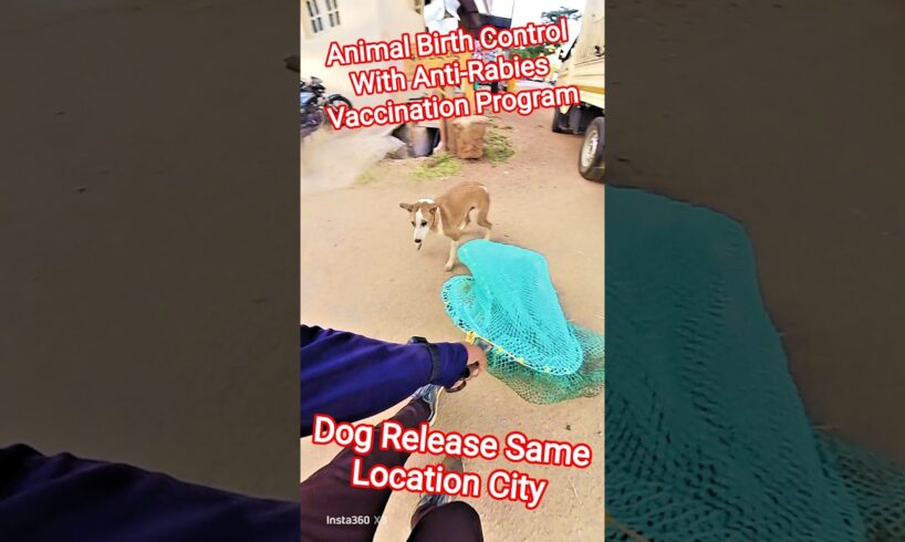 Abc Dog Release Same Tumkur City#dog #release #dogwithpublicsafety #ytviral #pets #dogshorts #shorts
