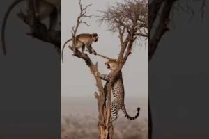 Amazing Animal Rescues That Will Melt Your Heart ❤️👉 “This AI generated for entertainment purposes”