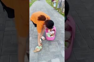 Aunty stuffed all the cute puppies into her slippers 😍 #shortvideo #cutepuppy #shortsfeed #shorts