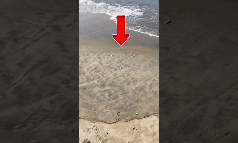 Baby fish rescued safely 🥹