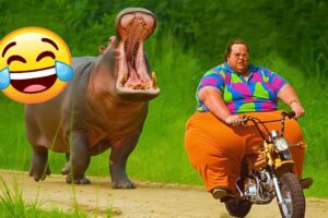 Best Fails of The Week 😂 Funniest People Failing Hilariously | Try Not To Laugh