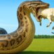 Brave Heroes Save Terrified Mother Cow from Giant Python’s Deadly Ambush in the Quiet Meadow 🐍🐄