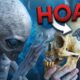 Breaking Down 8 Viral Hoaxes | The Proof Is Out There
