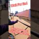 City Abc Double Dog Catch #abcprogram #shorts #dog #ytviral #animals #pets #dogshorts #rescue
