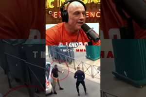 Cop Tried to Fight an MMA Fighter… Big Mistake 😳🥊