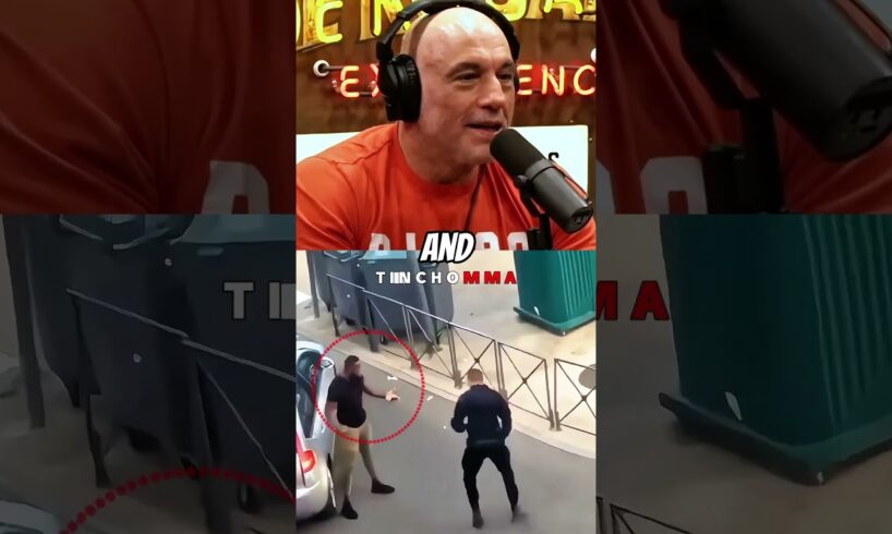 Cop Tried to Fight an MMA Fighter… Big Mistake 😳🥊