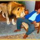 Craziest Animal Attacks Ever Caught On Camera | Amazing Animals #189