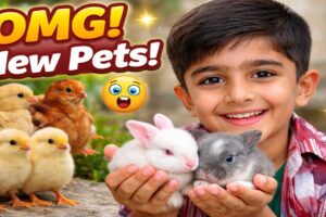 Cute Baby Rabbits 🐰 | New Pets Arrival 🐥 | Kids Playing with Animals Vlog March 31, 2026