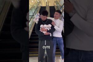 Cute Puppies Gone Instantly