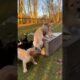 Cute Puppies so excited Playing with together