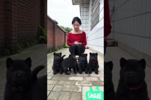 Cutest Kids Playing With Dogs 🐶❤️”#shorts #puppy #trending #animals #dog