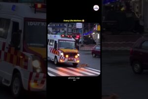 Every Life Matters | Dog Rescue | #shorts #ambulance #dog 🐾🚑❤