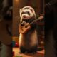 Ferret Playing Guitar | Cutest Concert Ever! #Ferret #cuteanimals #funnyanimals #animalsmusic