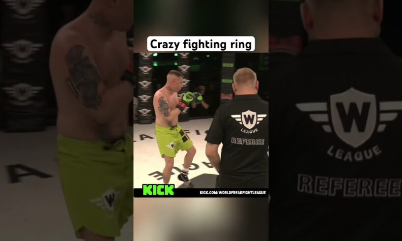 Fight turned brutal in seconds #mma #ufc