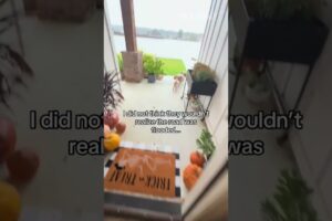 Funniest fails on water 🤣