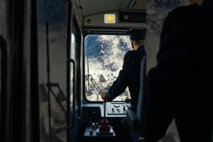 Golden Retriever Mom and Puppy Save a Train #dog #goldenretriever #rescue #animals