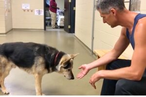 He Was Rejected by Every Family on Adoption Day… Until One Man Ran In